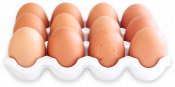 Cage Free Brown Eggs